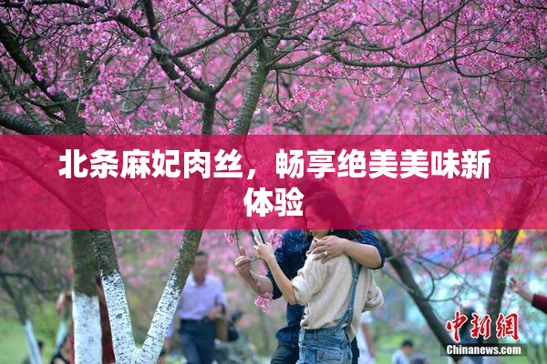北条麻妃肉丝，畅享绝美美味新体验