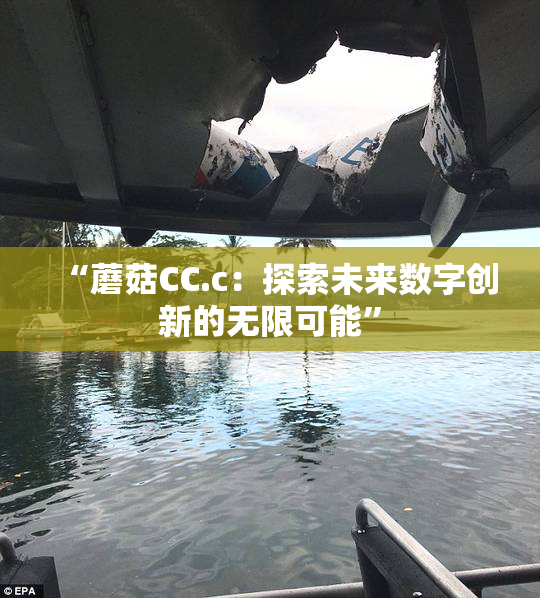 “蘑菇CC.c：探索未来数字创新的无限可能”
