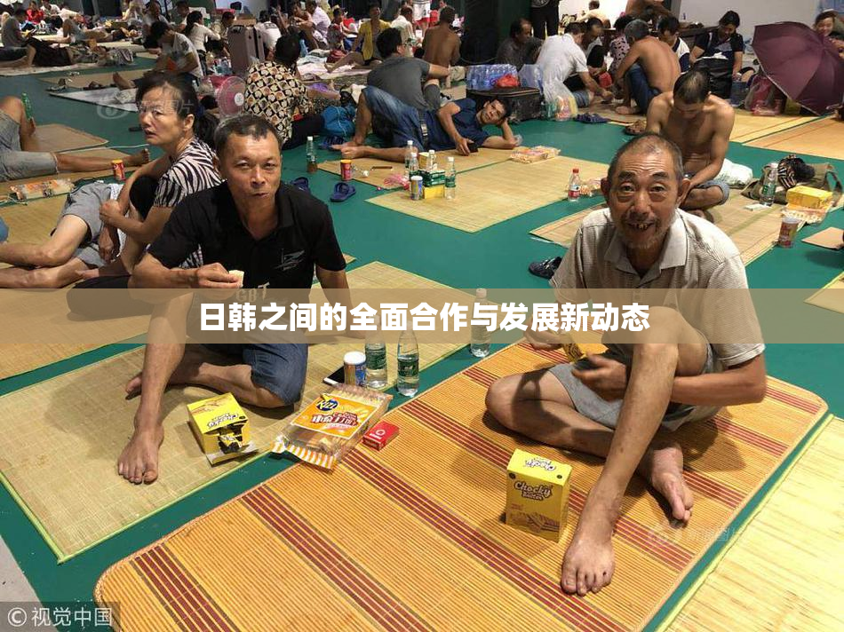 日韩之间的全面合作与发展新动态
