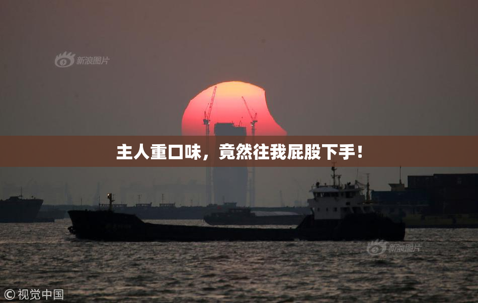主人重口味，竟然往我屁股下手！