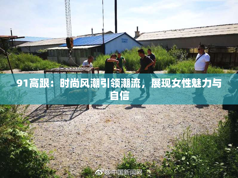 91高跟：时尚风潮引领潮流，展现女性魅力与自信
