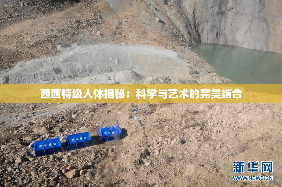 西西特级人体揭秘：科学与艺术的完美结合