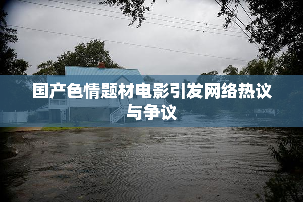 国产色情题材电影引发网络热议与争议