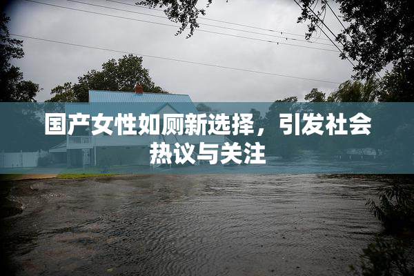 国产女性如厕新选择，引发社会热议与关注