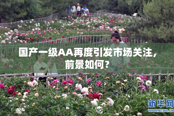 国产一级AA再度引发市场关注，前景如何？