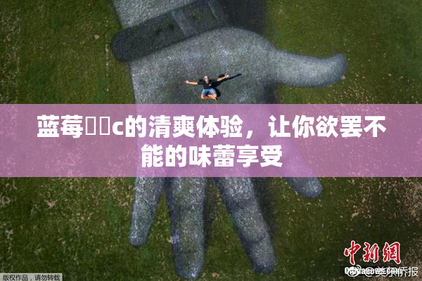 蓝莓❌‌c的清爽体验，让你欲罢不能的味蕾享受