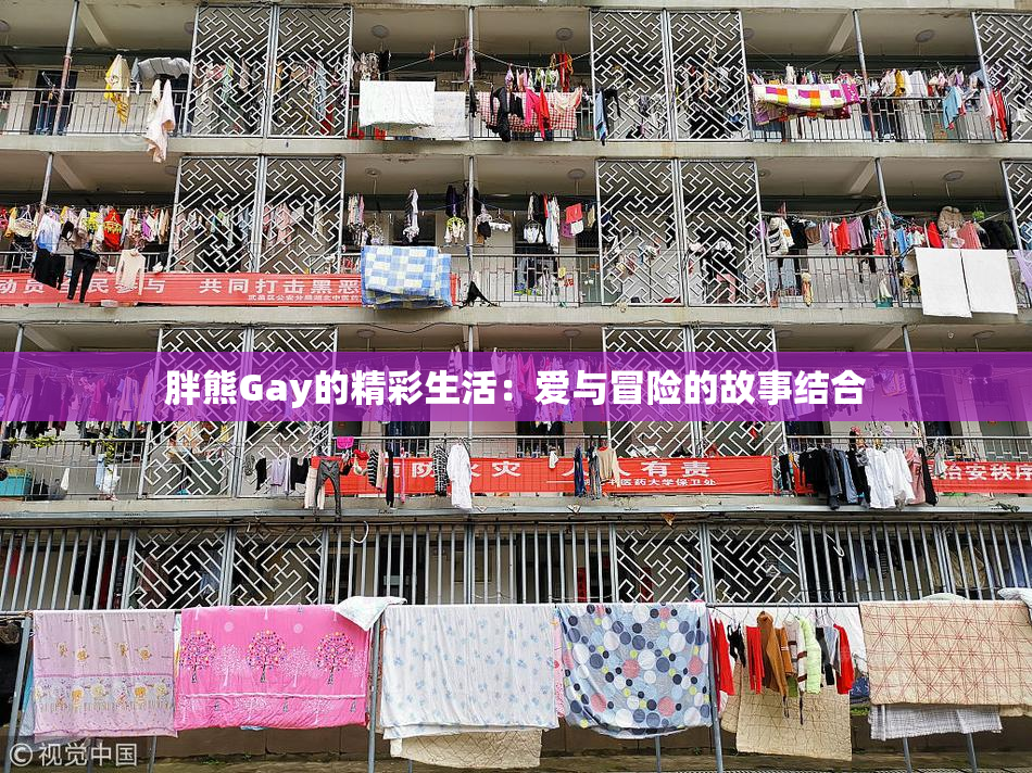 胖熊Gay的精彩生活：爱与冒险的故事结合
