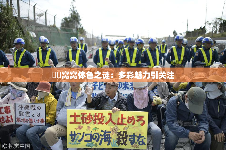 妺妺窝窝体色之谜：多彩魅力引关注