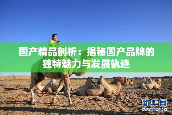 国产精品剖析：揭秘国产品牌的独特魅力与发展轨迹