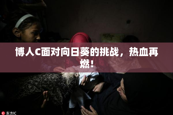 博人C面对向日葵的挑战，热血再燃！