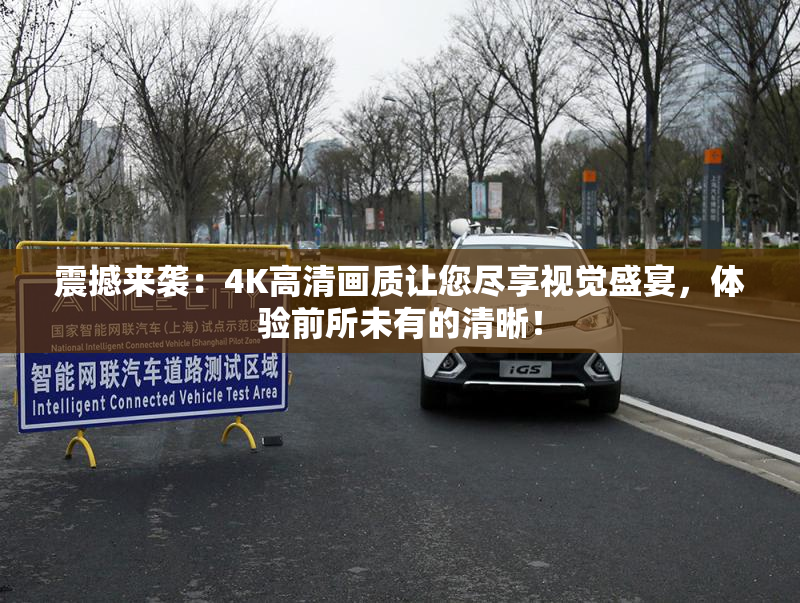 震撼来袭：4K高清画质让您尽享视觉盛宴，体验前所未有的清晰！