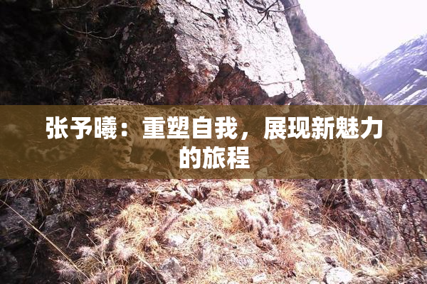 张予曦：重塑自我，展现新魅力的旅程