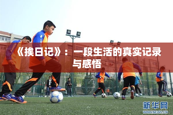 《挨日记》：一段生活的真实记录与感悟