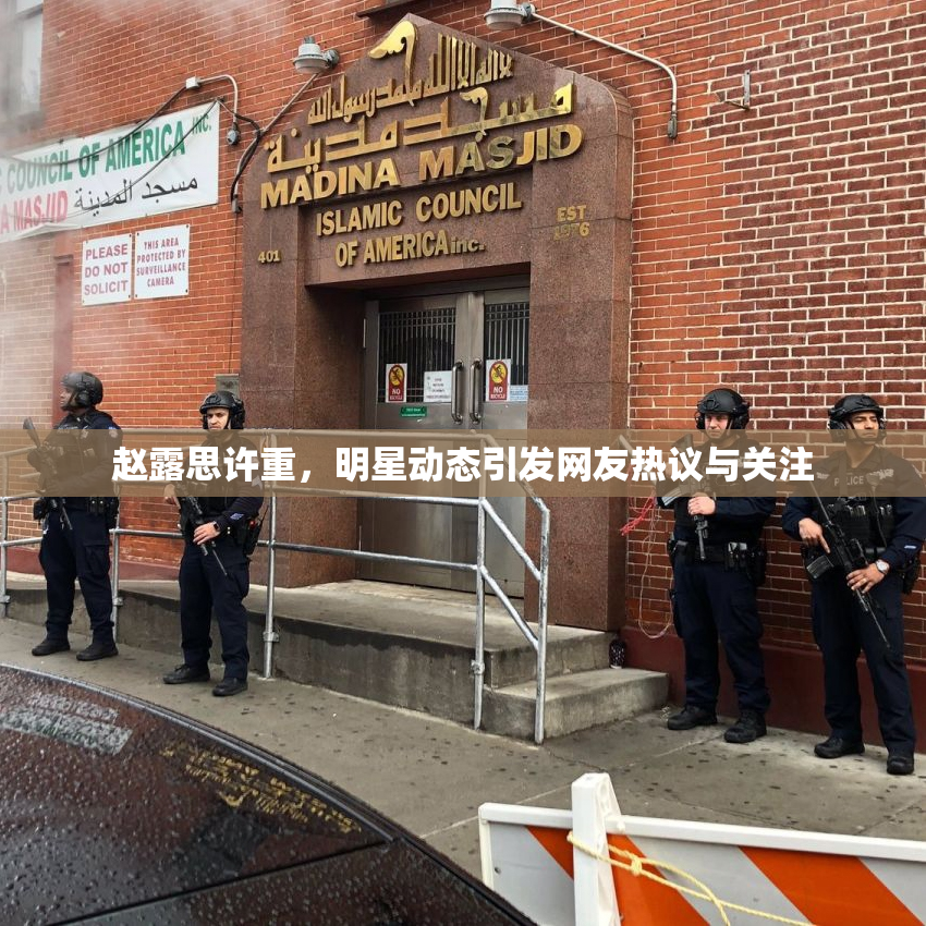 赵露思许重，明星动态引发网友热议与关注