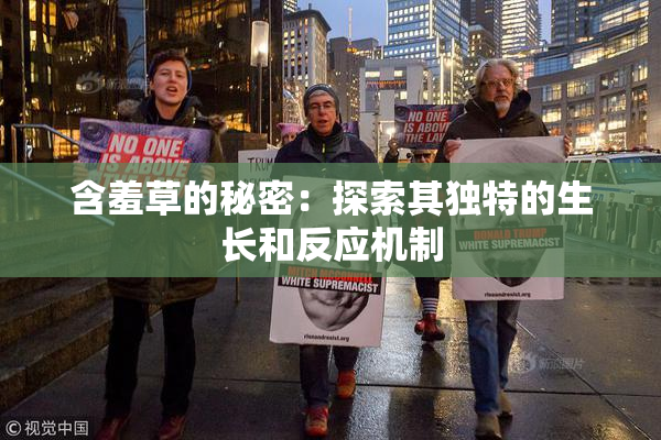 含羞草的秘密：探索其独特的生长和反应机制