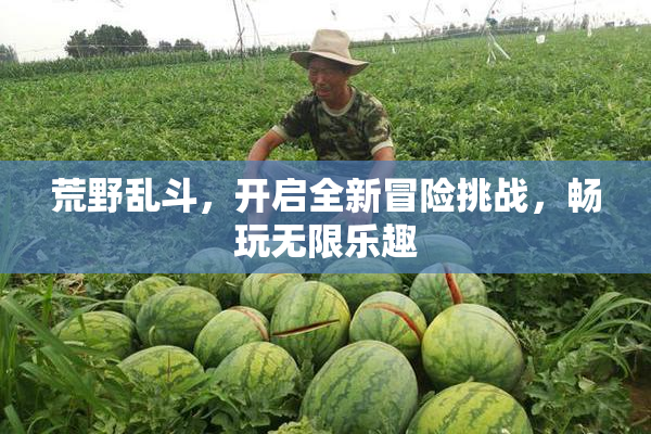 荒野乱斗，开启全新冒险挑战，畅玩无限乐趣