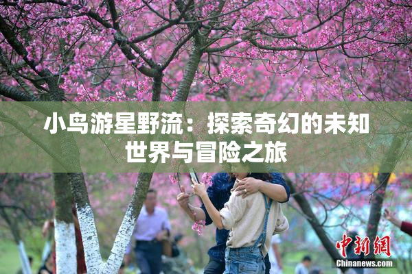 小鸟游星野流：探索奇幻的未知世界与冒险之旅