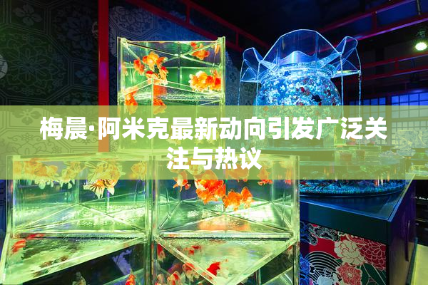 梅晨·阿米克最新动向引发广泛关注与热议