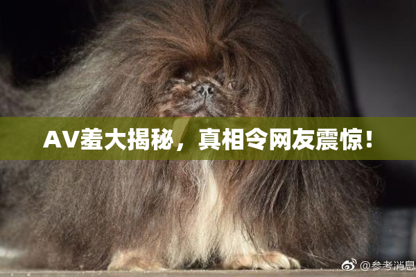 AV羞大揭秘，真相令网友震惊！