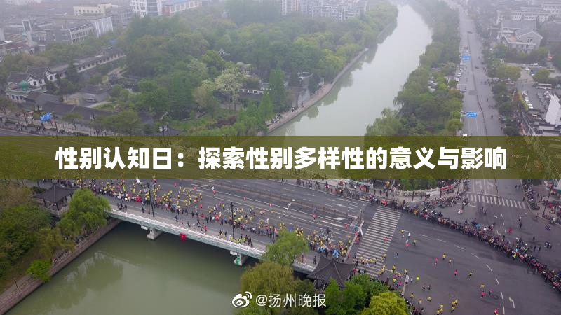 性别认知日：探索性别多样性的意义与影响