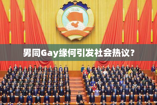 男同Gay缘何引发社会热议？