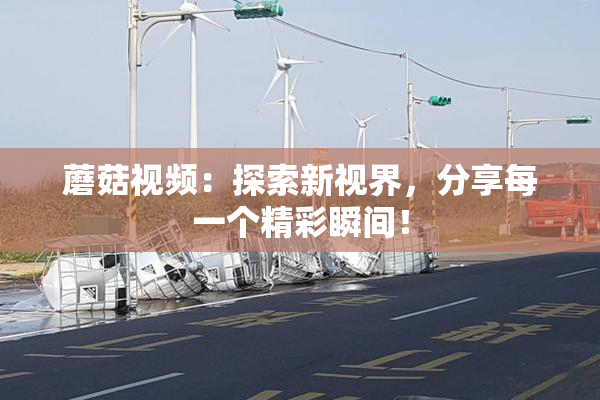 蘑菇视频：探索新视界，分享每一个精彩瞬间！
