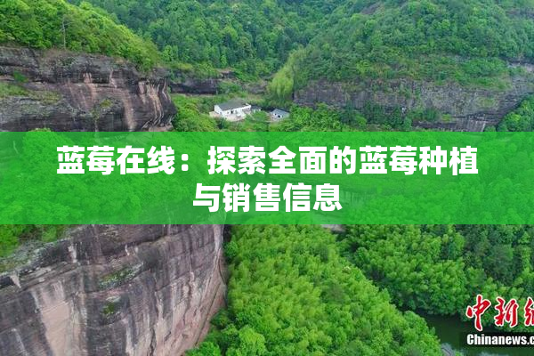 蓝莓在线：探索全面的蓝莓种植与销售信息