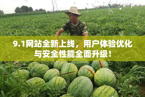 9.1网站全新上线，用户体验优化与安全性能全面升级！