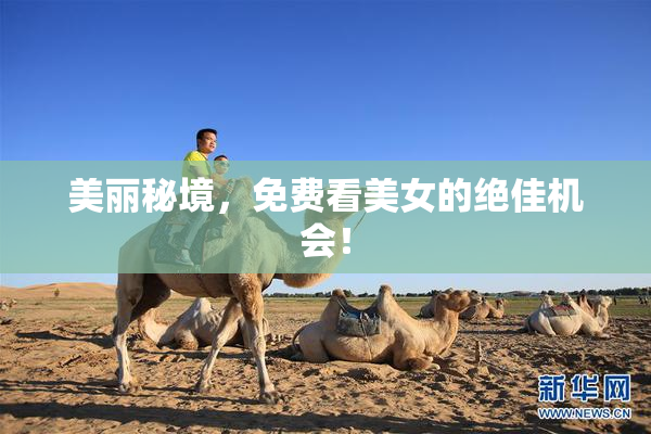 美丽秘境，免费看美女的绝佳机会！