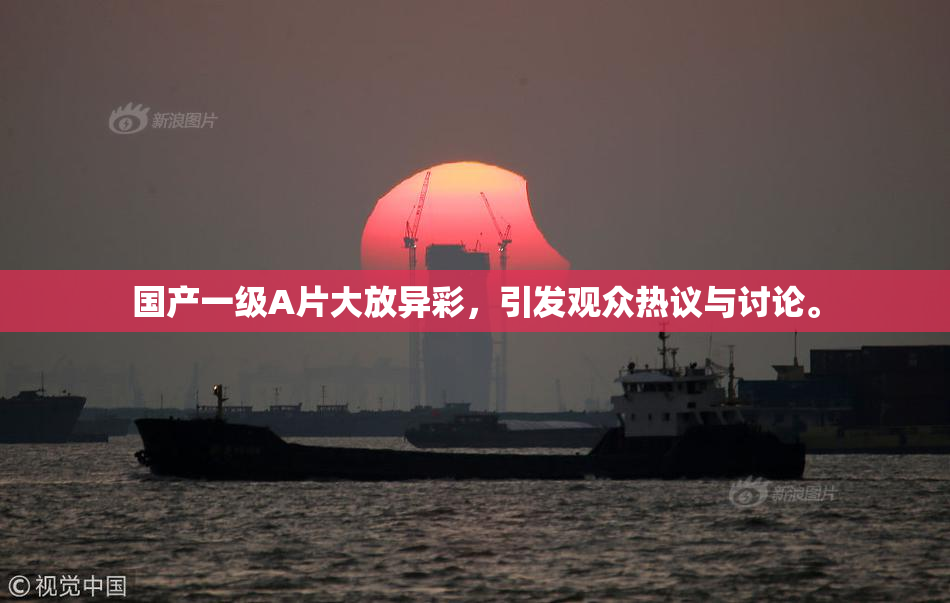 国产一级A片大放异彩，引发观众热议与讨论。