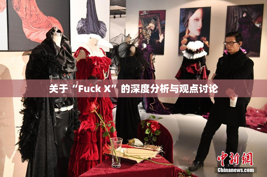关于“Fuck X”的深度分析与观点讨论