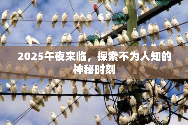 2025午夜来临，探索不为人知的神秘时刻
