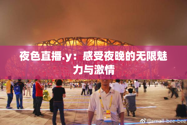 夜色直播.y：感受夜晚的无限魅力与激情