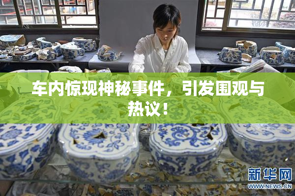车内惊现神秘事件，引发围观与热议！