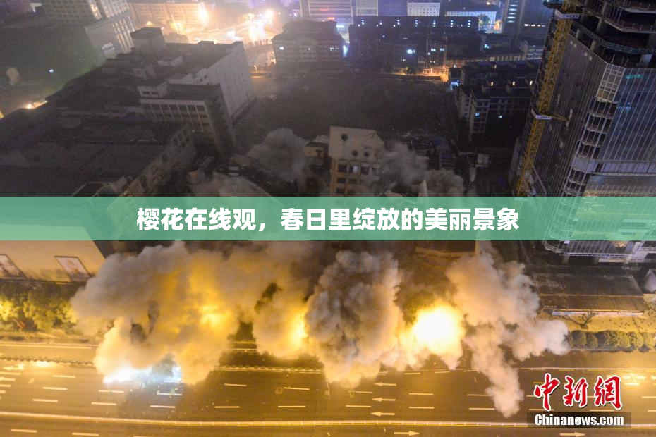 樱花在线观，春日里绽放的美丽景象