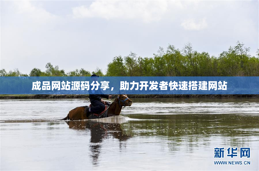 成品网站源码分享，助力开发者快速搭建网站