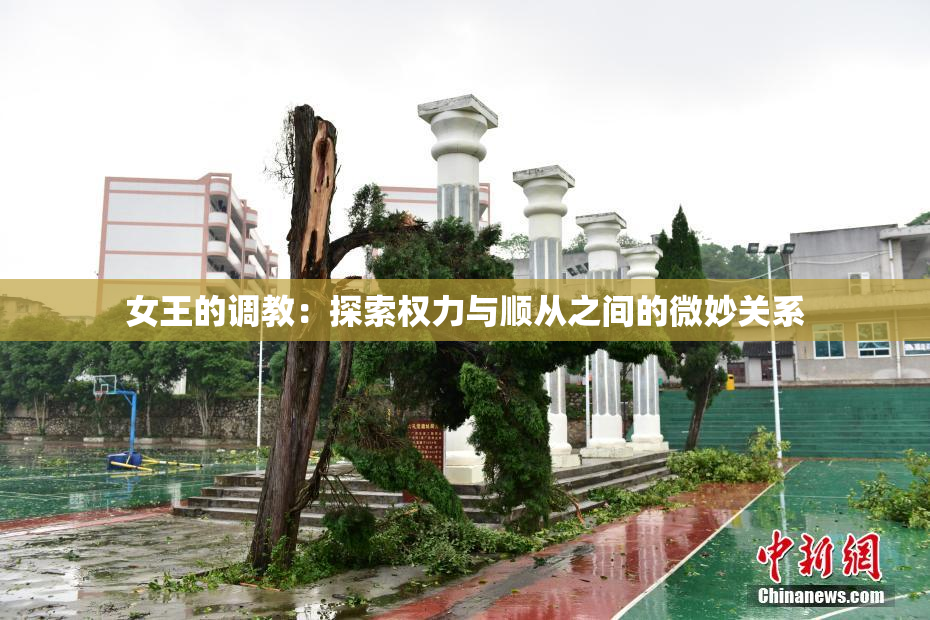女王的调教：探索权力与顺从之间的微妙关系