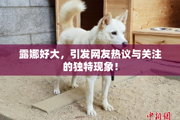 露娜好大，引发网友热议与关注的独特现象！