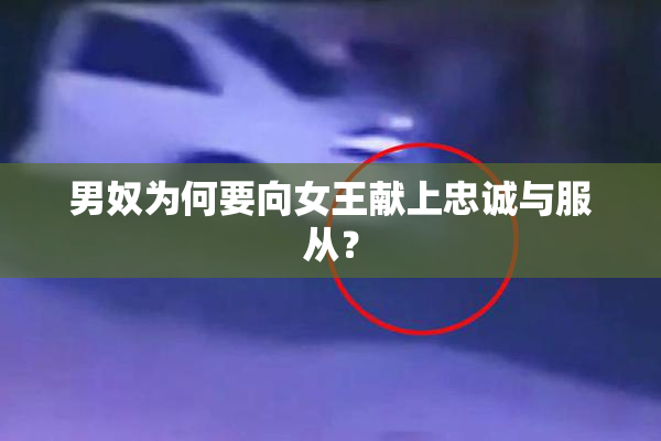 男奴为何要向女王献上忠诚与服从？