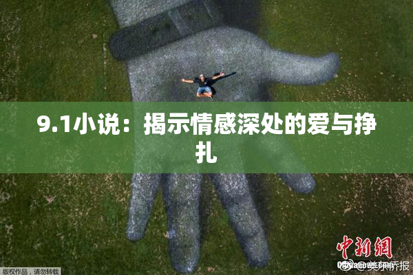 9.1小说：揭示情感深处的爱与挣扎