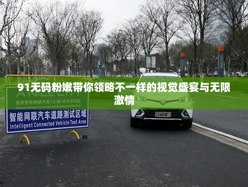 91无码粉嫩带你领略不一样的视觉盛宴与无限激情