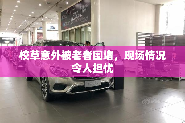 校草意外被老者围堵，现场情况令人担忧