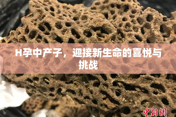 H孕中产子，迎接新生命的喜悦与挑战