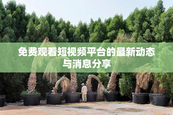 免费观看短视频平台的最新动态与消息分享