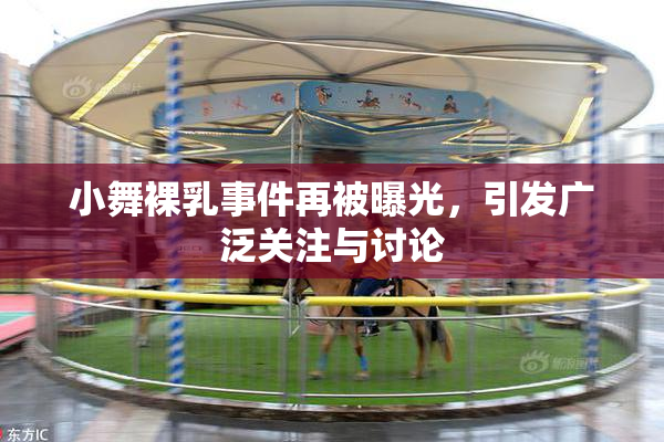 小舞裸乳事件再被曝光，引发广泛关注与讨论