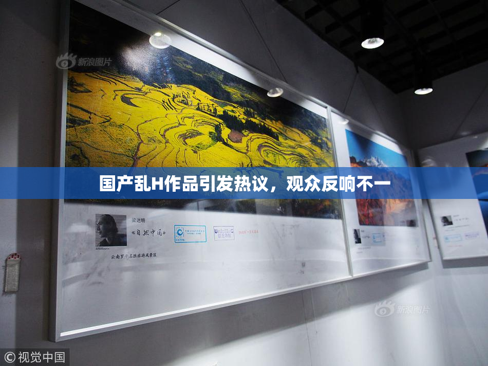 国产乱H作品引发热议，观众反响不一