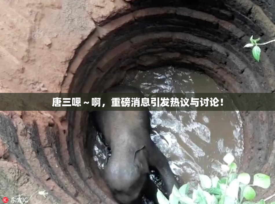 唐三嗯～啊，重磅消息引发热议与讨论！