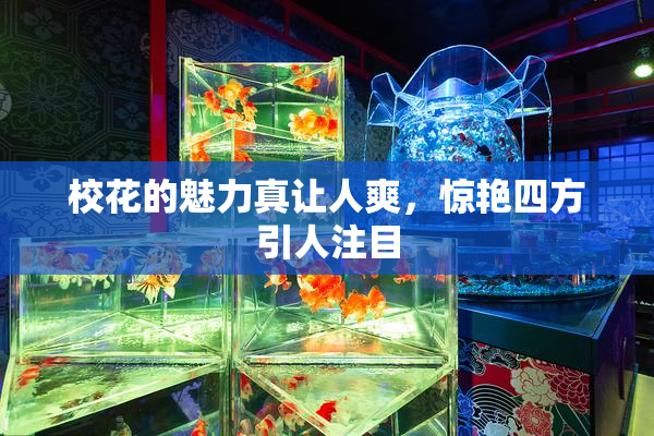 校花的魅力真让人爽，惊艳四方引人注目
