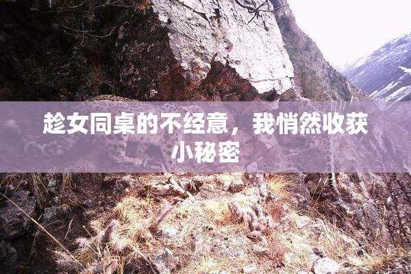 趁女同桌的不经意，我悄然收获小秘密