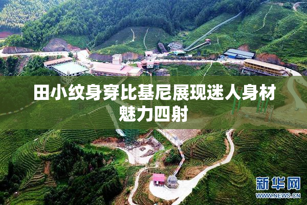 田小纹身穿比基尼展现迷人身材魅力四射